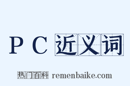 PC近义词是什么意思的图片
